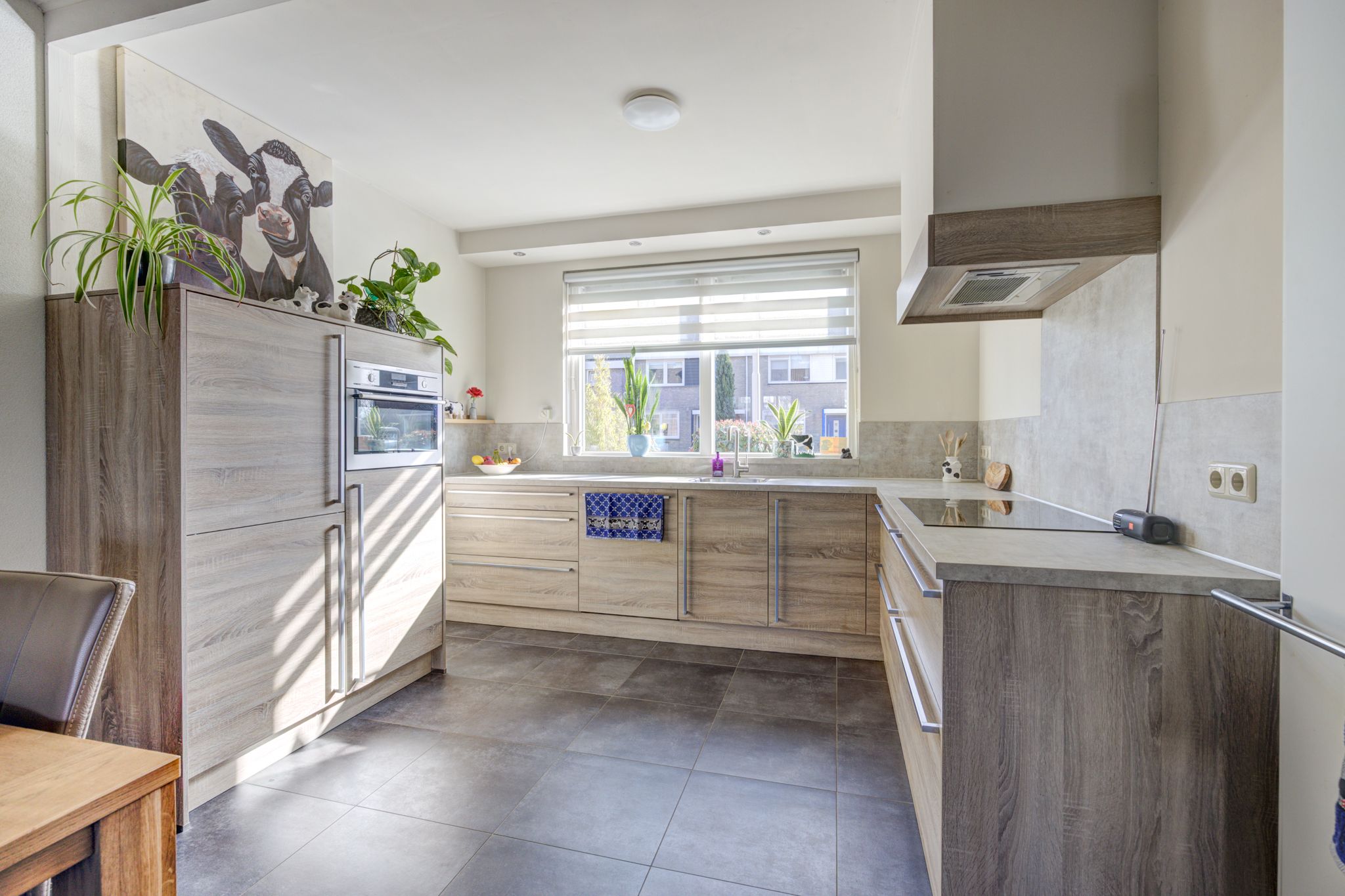 Foto 12 van Wildbaan 120