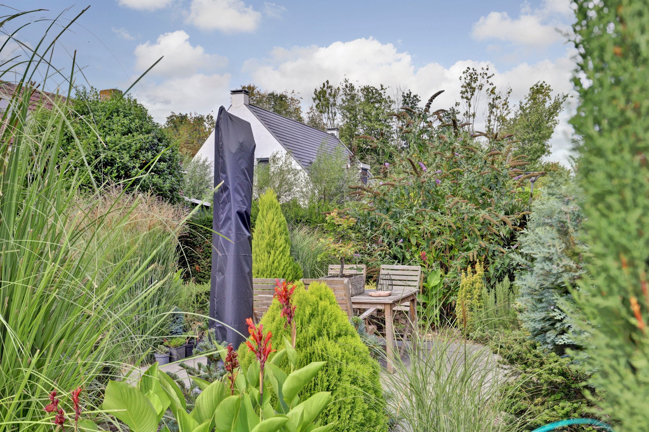 Foto 24 van Molendijk 8