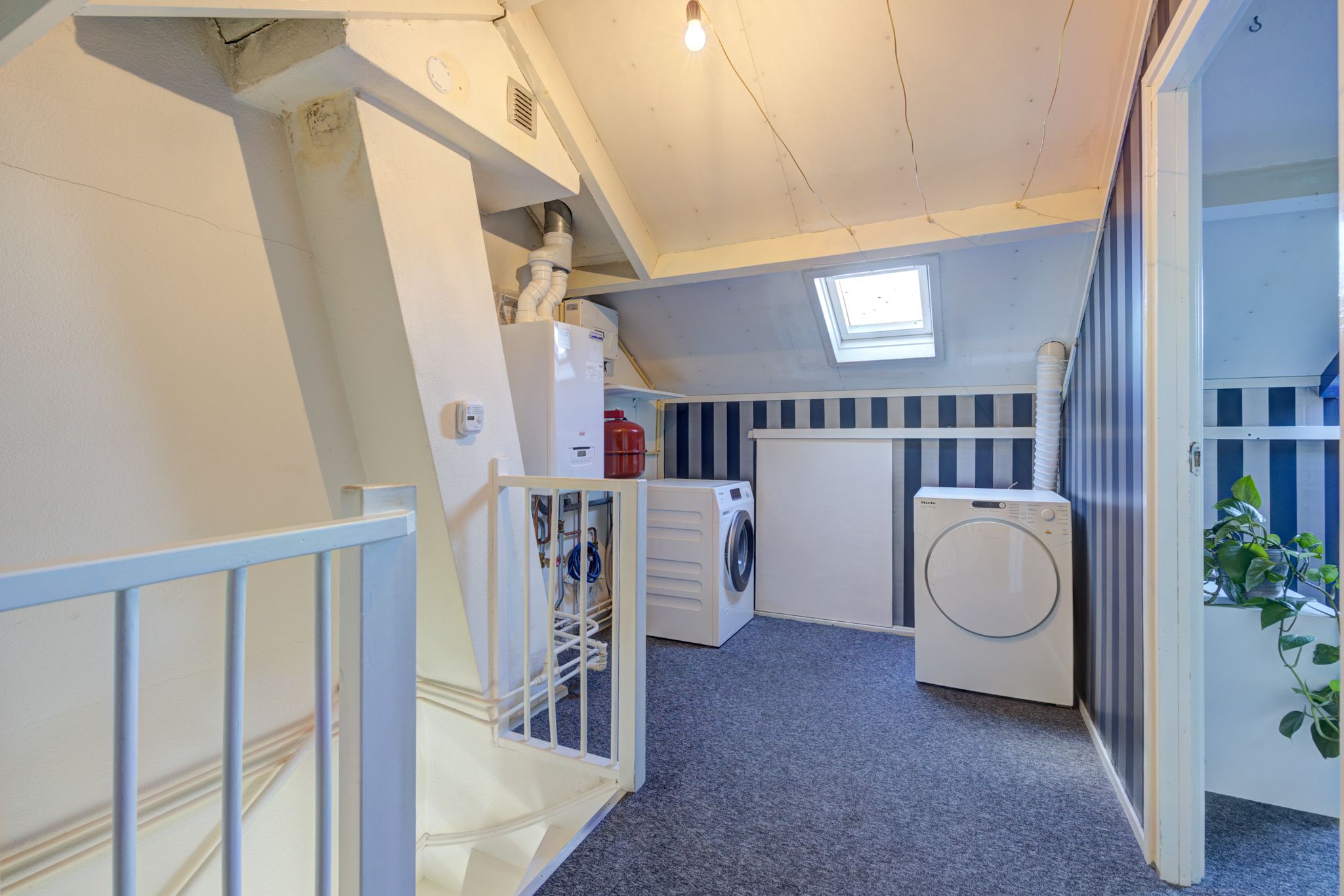 Foto 27 van Wildbaan 120