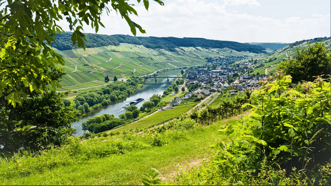 Foto 35 van Ferienresort Cochem 614