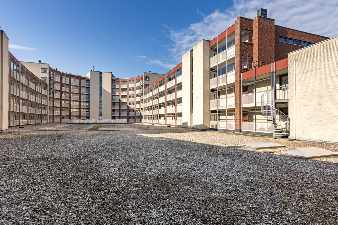 Foto 8 van Rendierhei 27