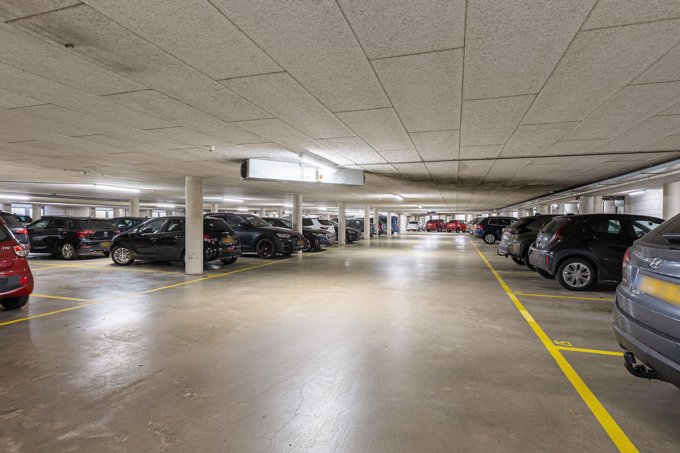 Foto 27 van Rendierhei 27