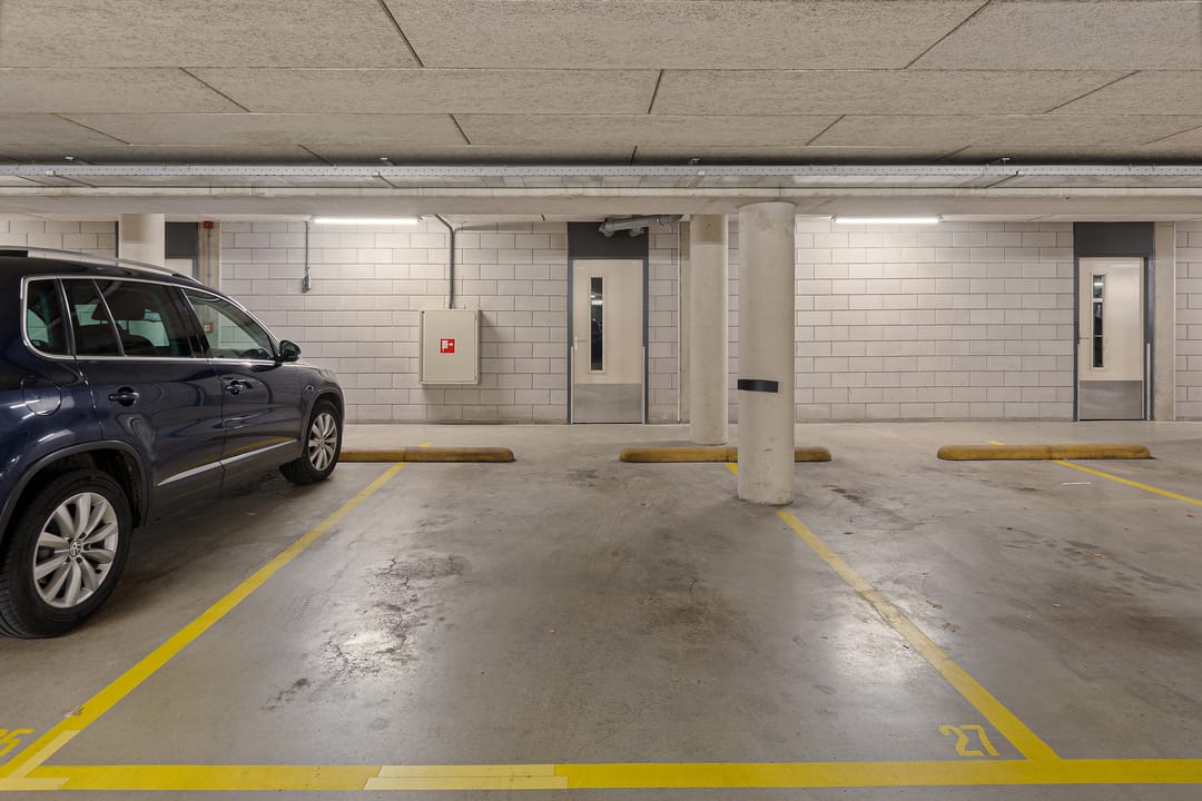 Foto 28 van Rendierhei 27