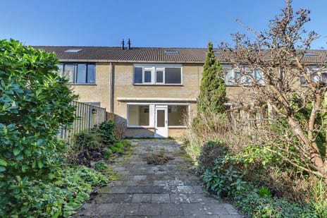 undefined main image