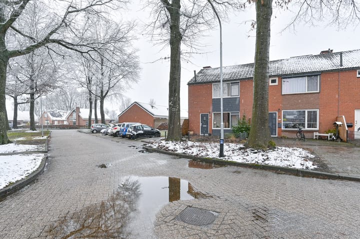 Foto 4 van De Trippen 12