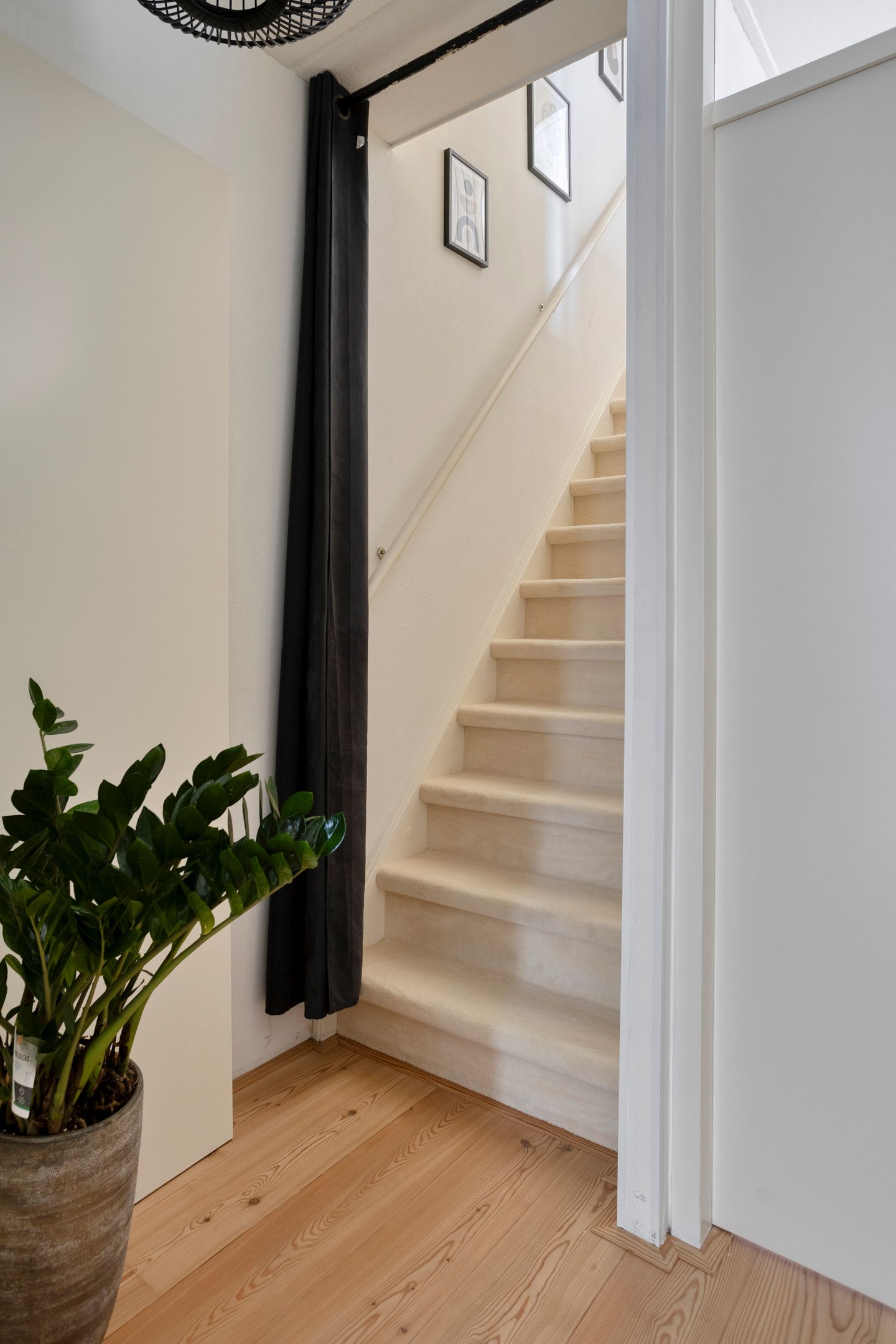 Foto 15 van Hanebalken 250