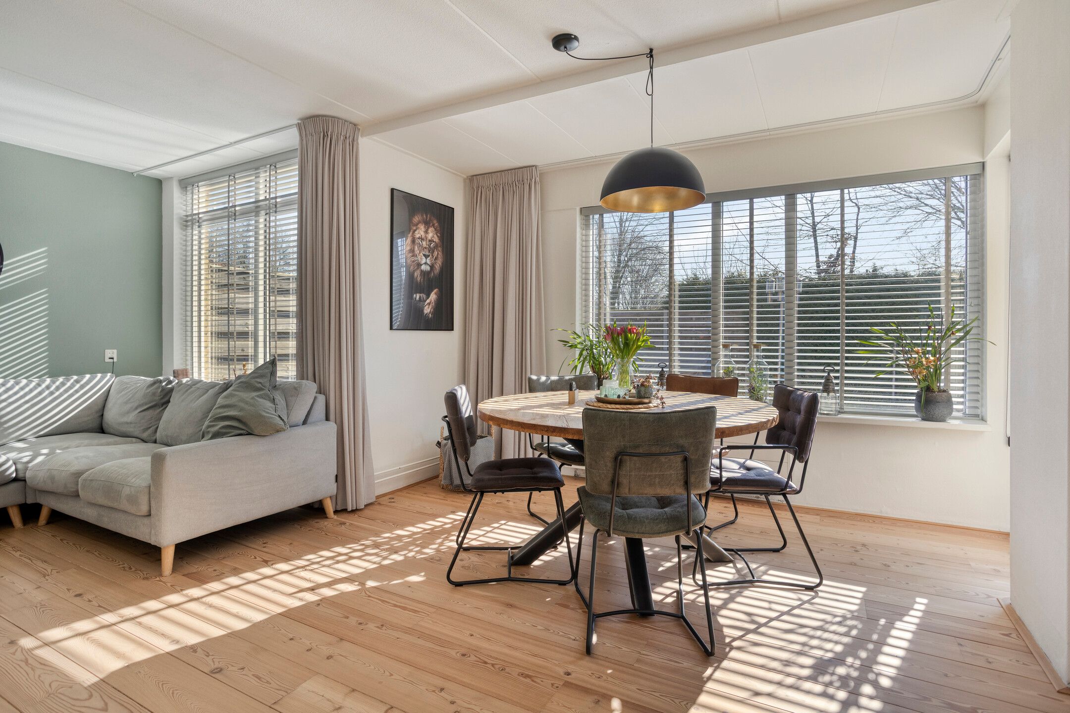 Foto 24 van Hanebalken 250