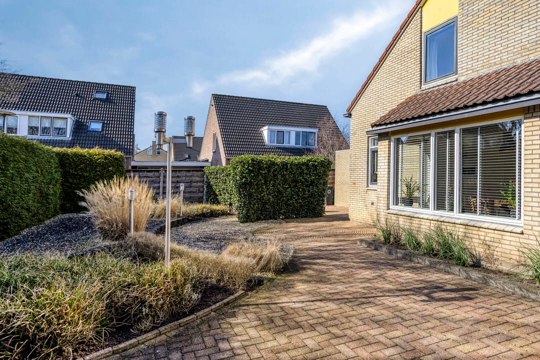 Foto 46 van Hanebalken 250