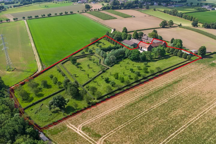 Wijnstraat 25 main image