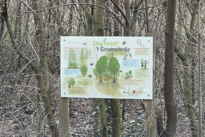 Foto 2 van Chopinplein 32