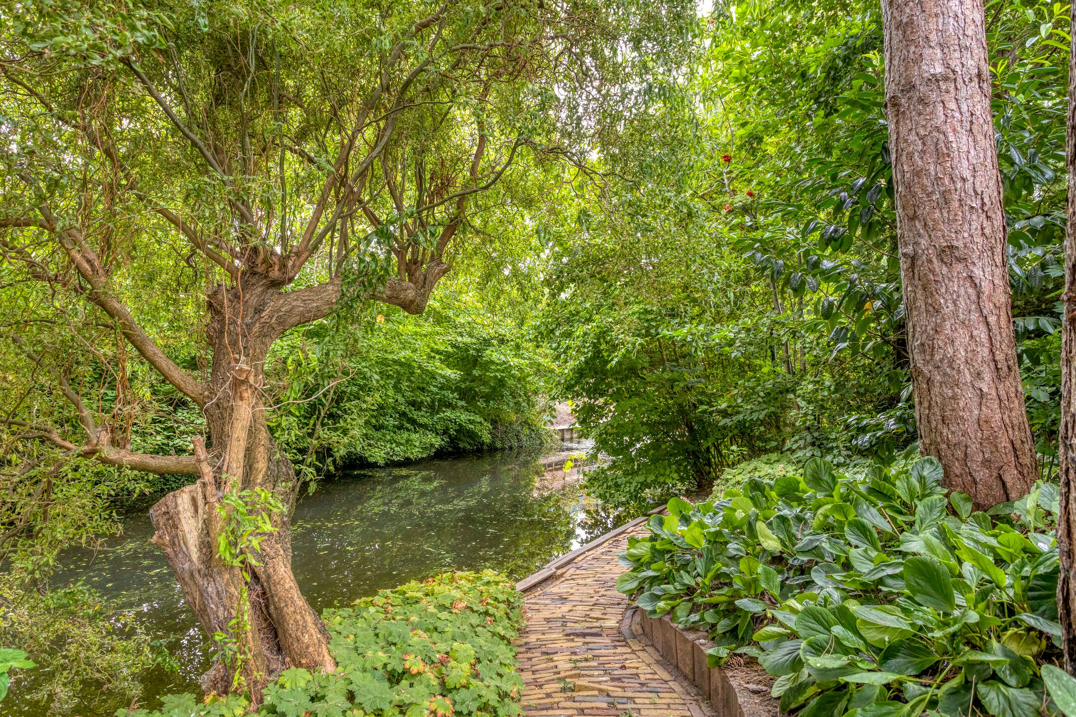 Photo 9 of Rosmolen 1