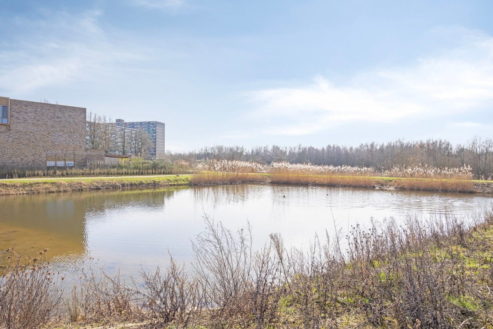 Photo 33 of Waterlelielaan 58