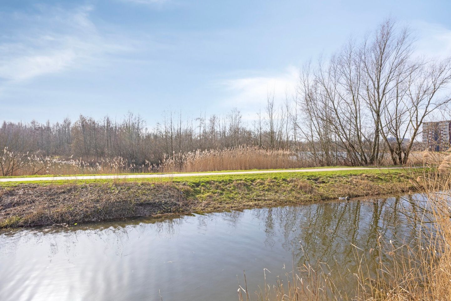 Photo 34 of Waterlelielaan 58