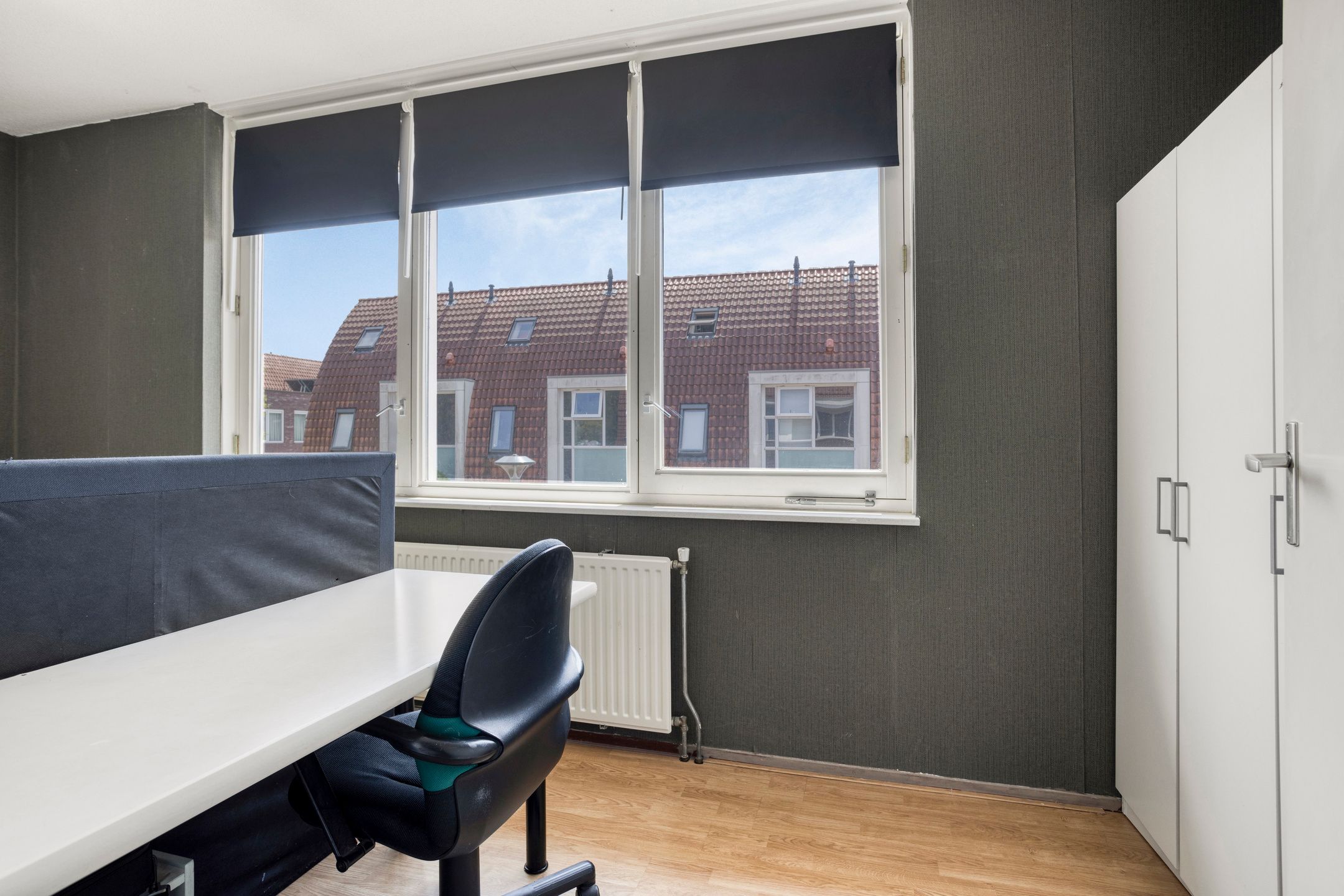 Foto 18 van Goudvink 3