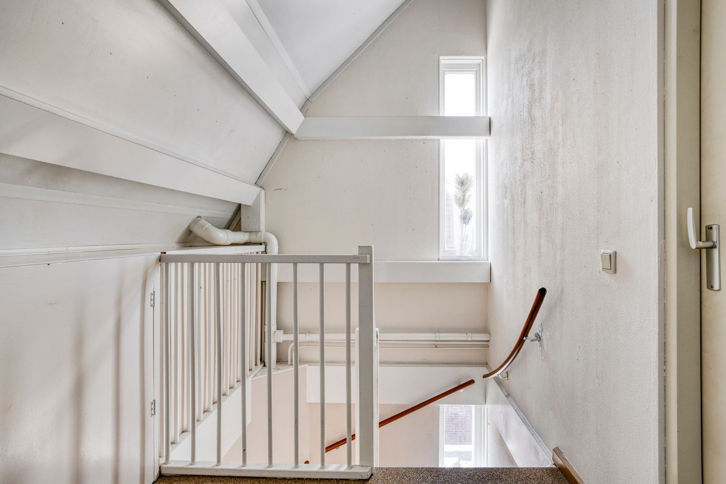 Foto 25 van Goudvink 3