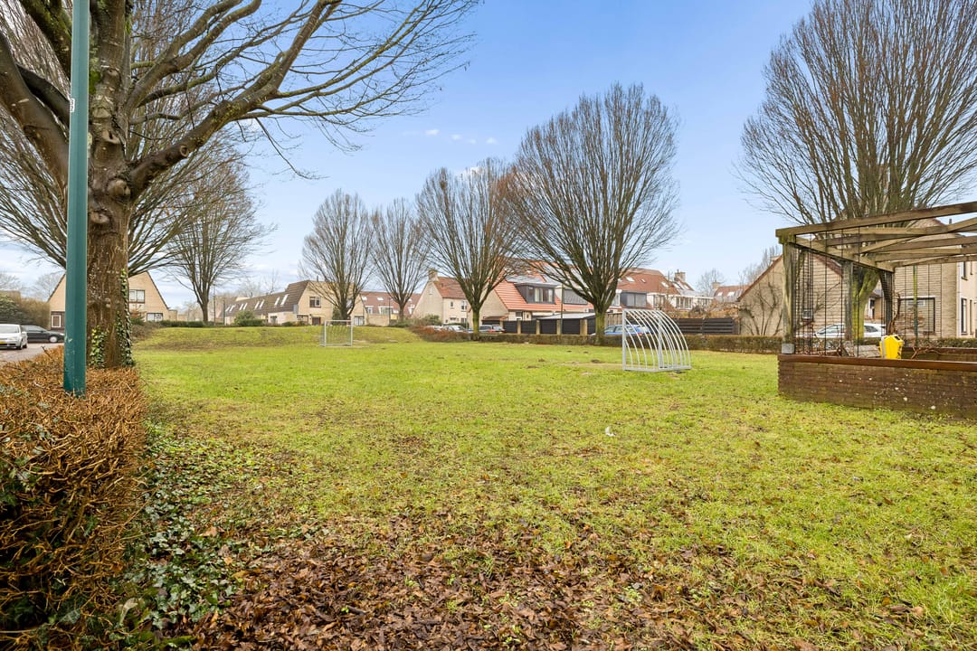 Foto 46 van Kievitsbloem 6