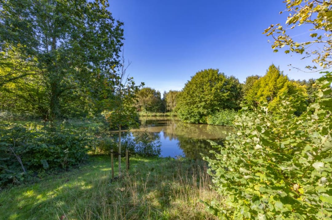 Photo 38 of van Vredenburchweg 519