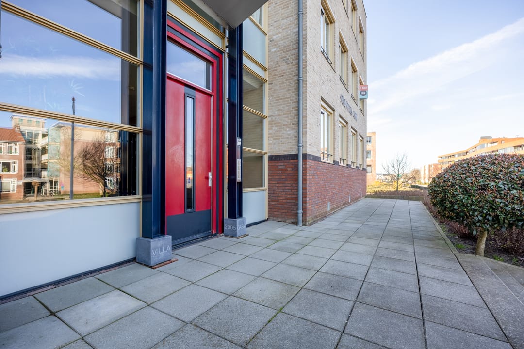 Foto 2 van Lavendel 481