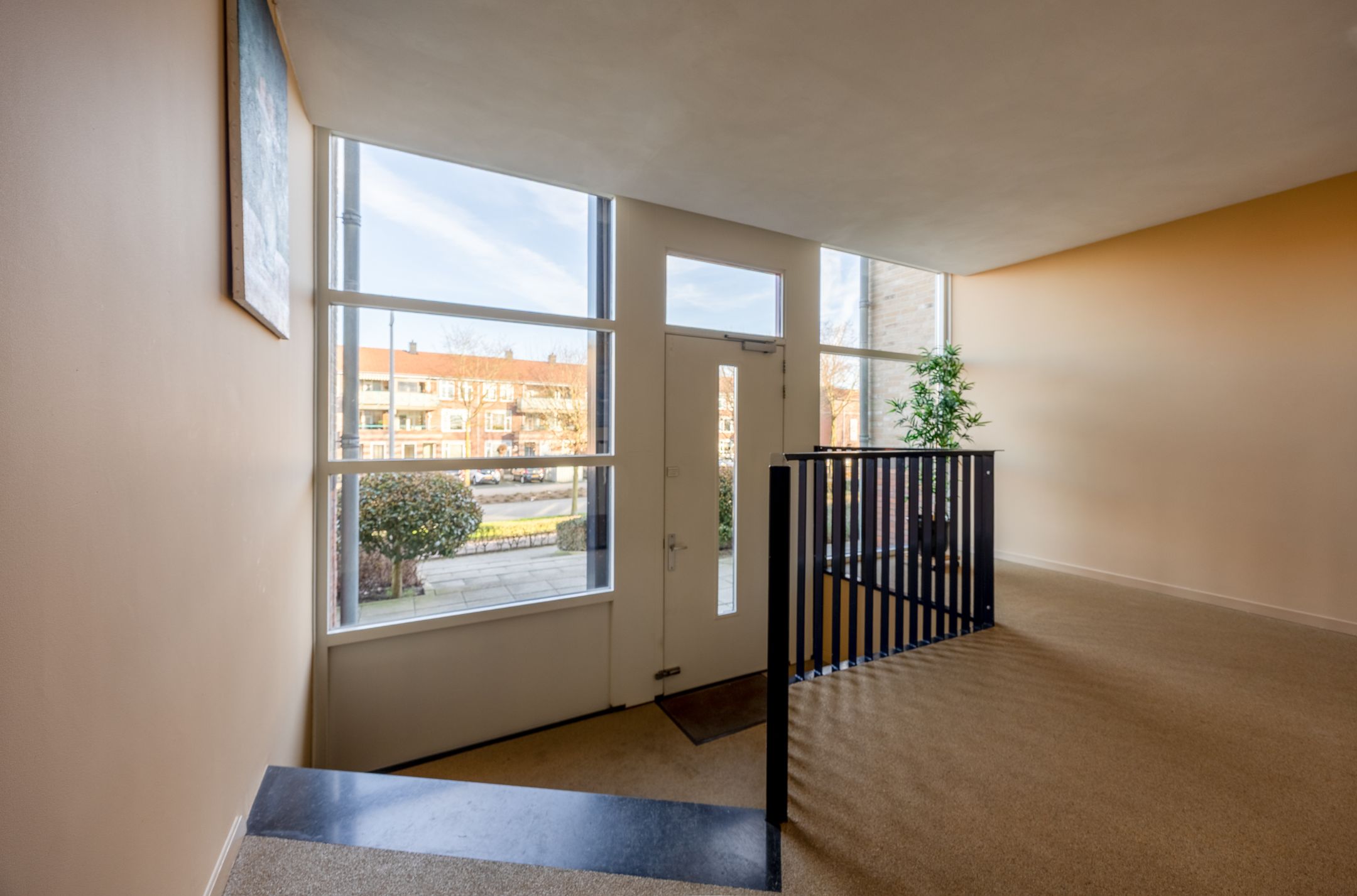 Foto 3 van Lavendel 481