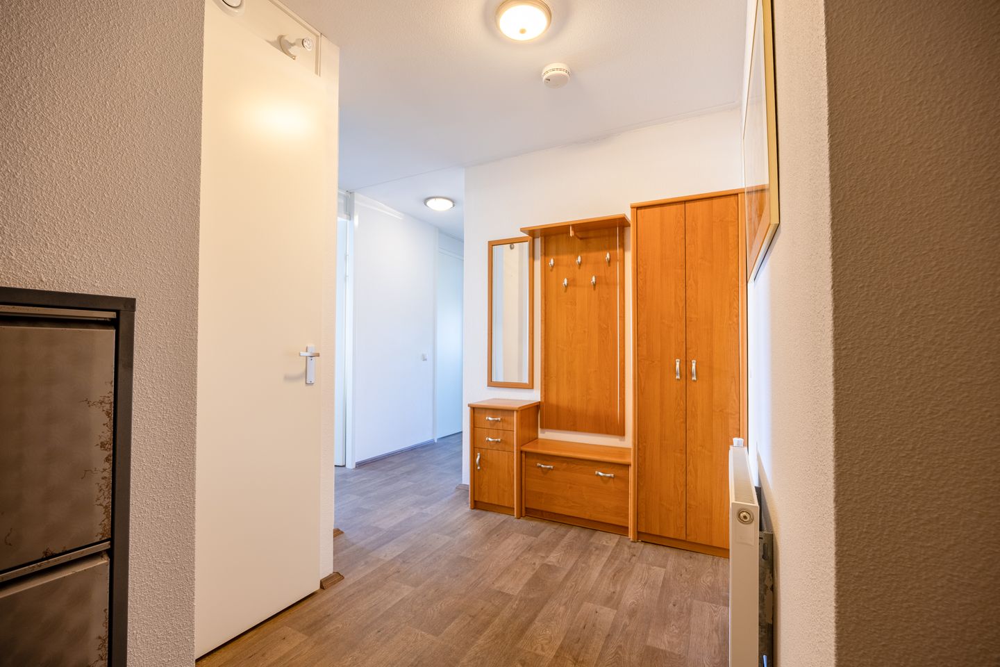 Foto 5 van Lavendel 481