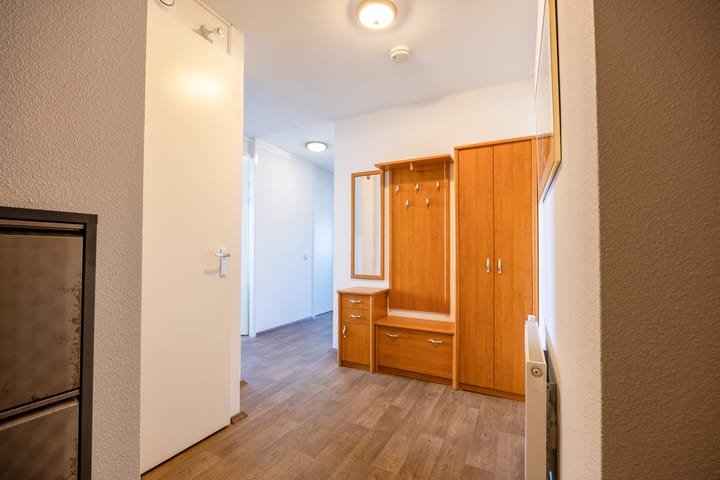 Foto 5 van Lavendel 481