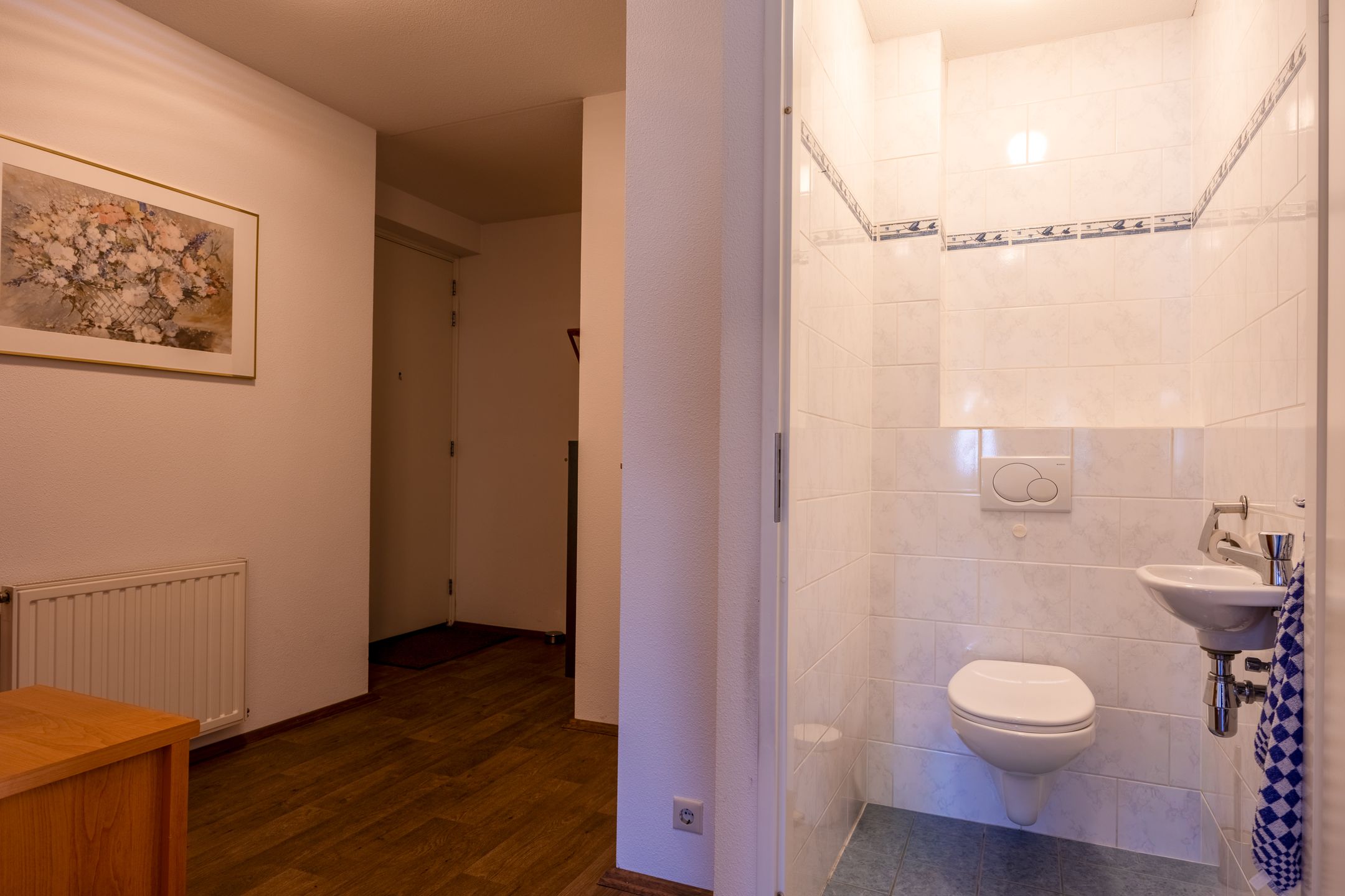 Foto 6 van Lavendel 481