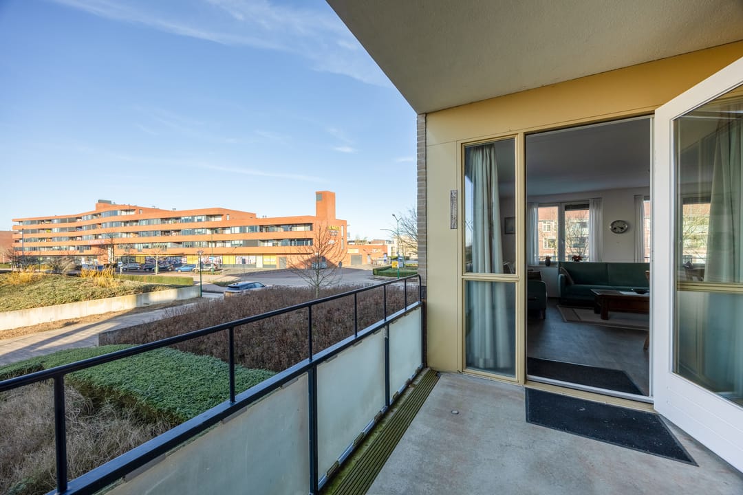 Foto 13 van Lavendel 481