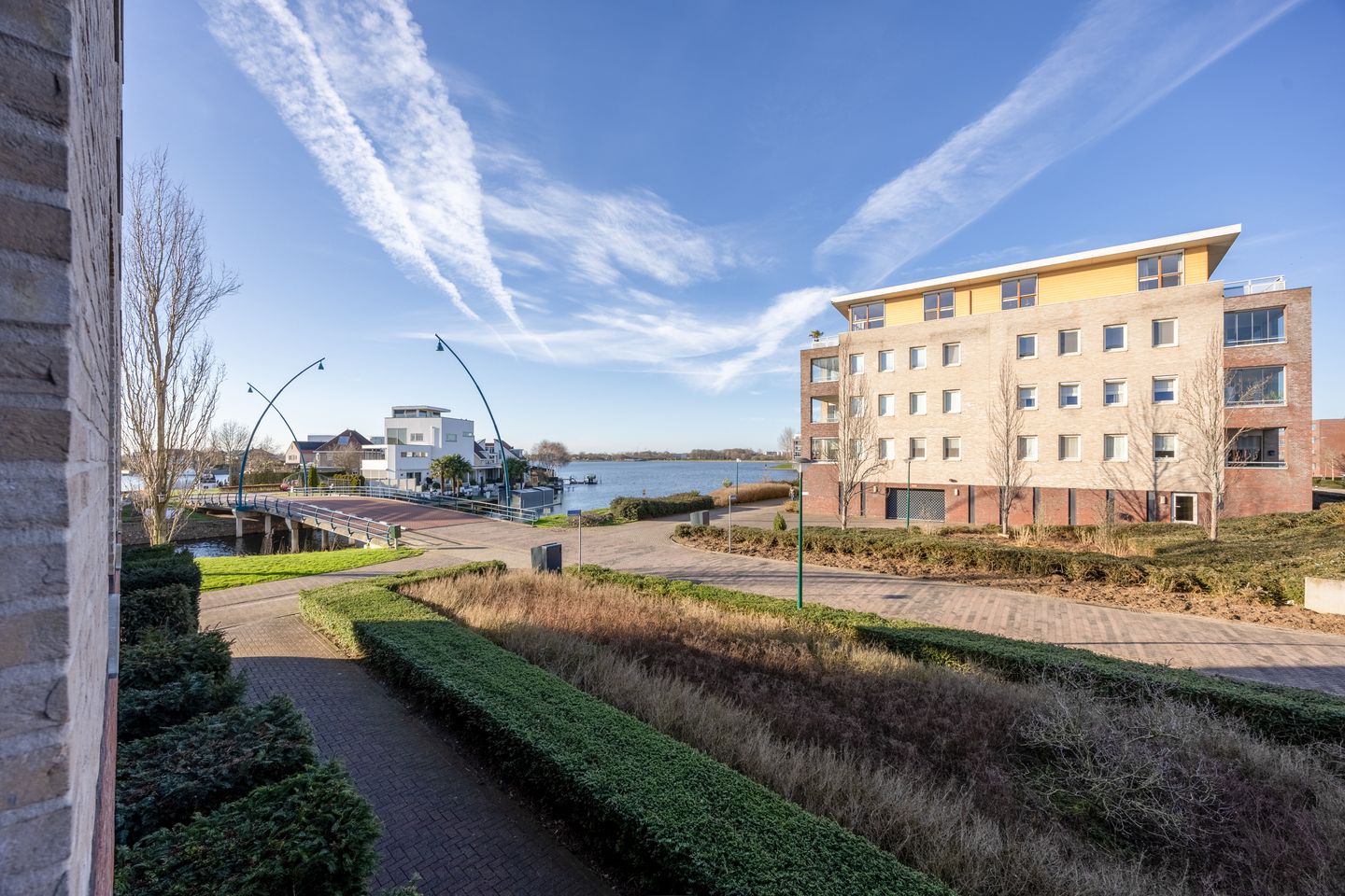 Foto 14 van Lavendel 481