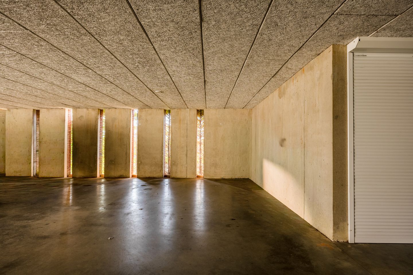 Foto 25 van Lavendel 481