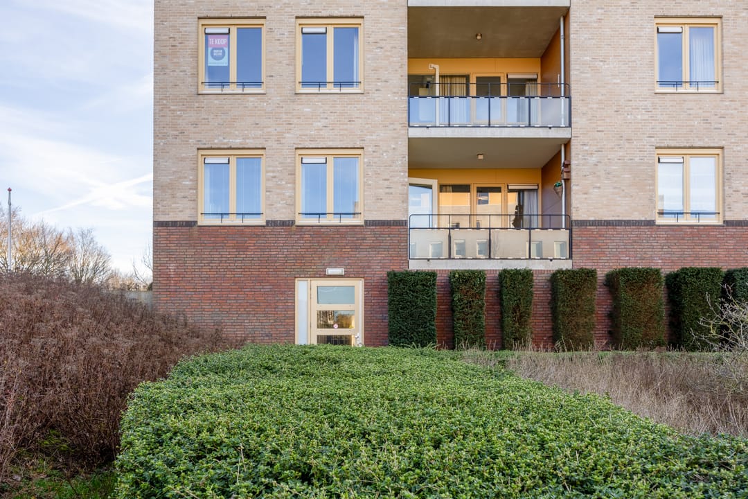 Foto 28 van Lavendel 481