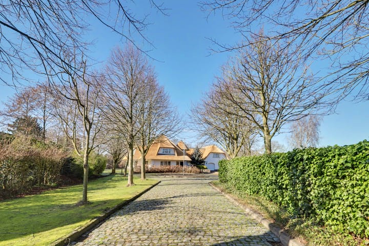 Foto 2 van Hogezoom 41