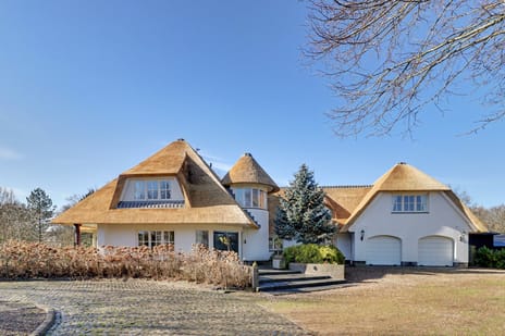 Hogezoom 41 tertiary image