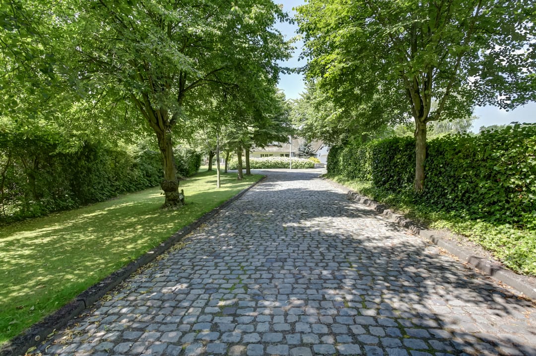 Foto 8 van Hogezoom 41