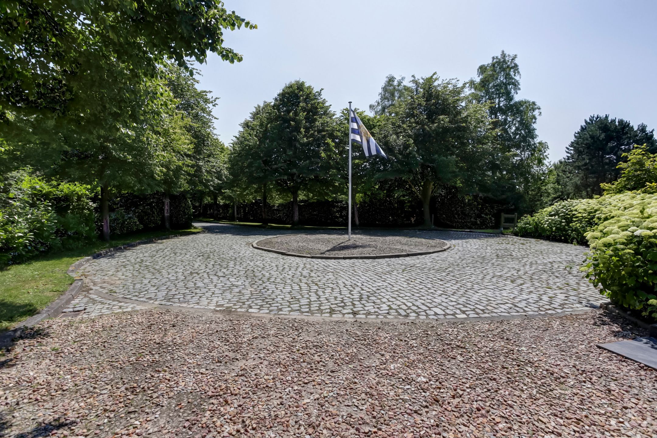 Foto 9 van Hogezoom 41