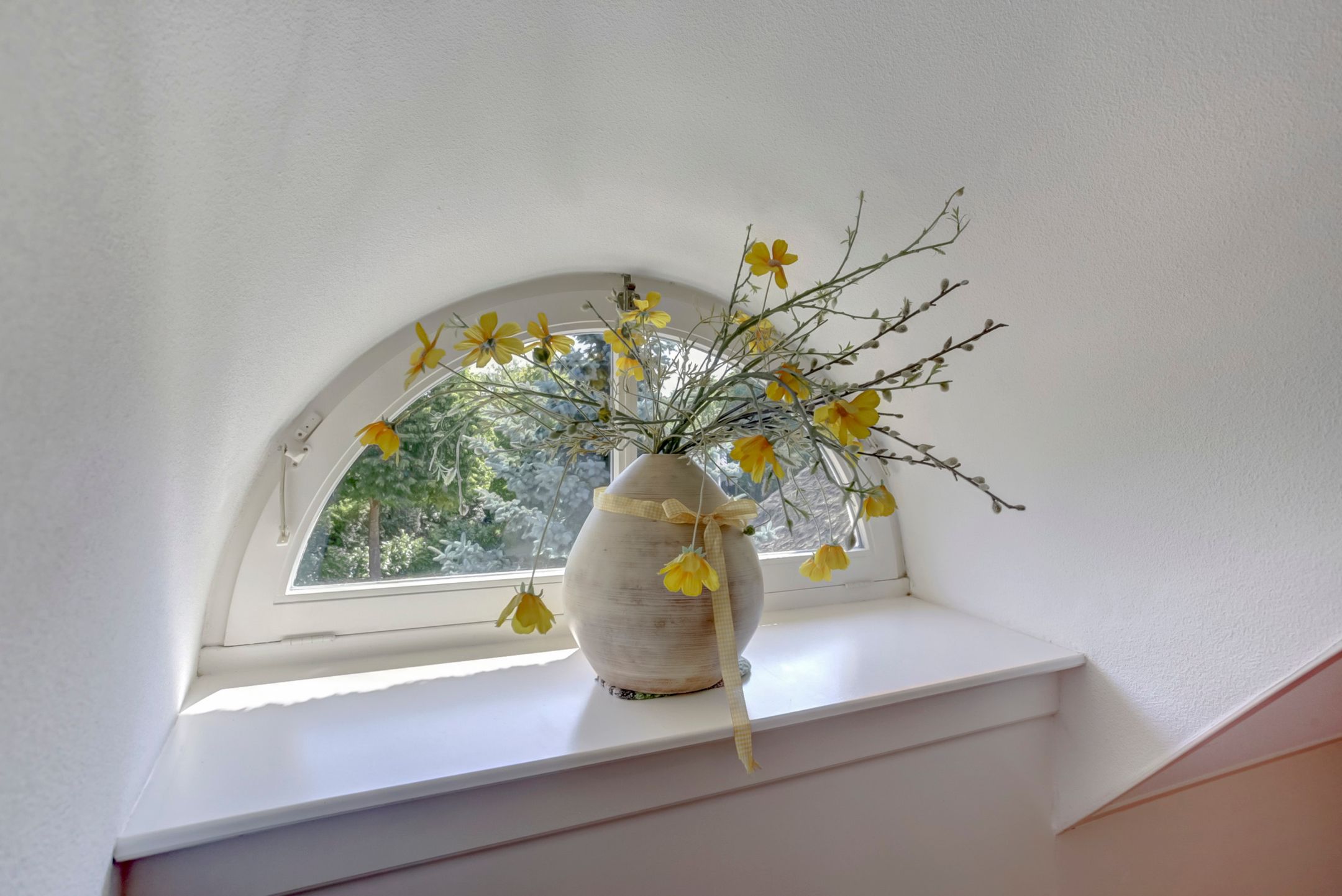 Foto 45 van Hogezoom 41