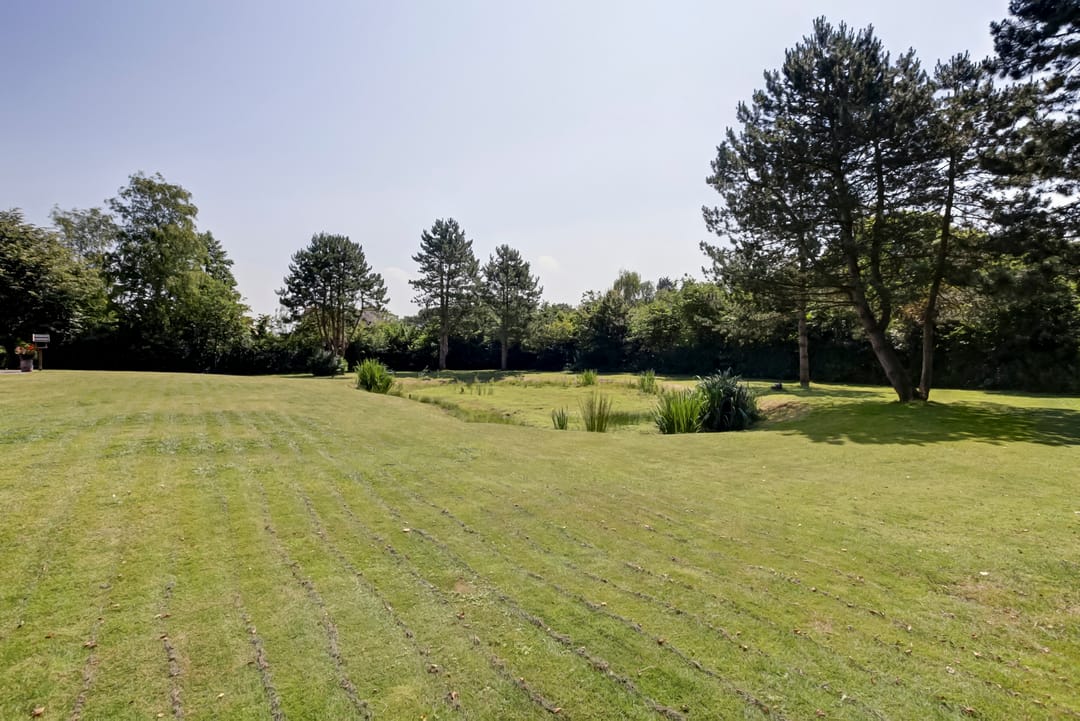 Foto 58 van Hogezoom 41