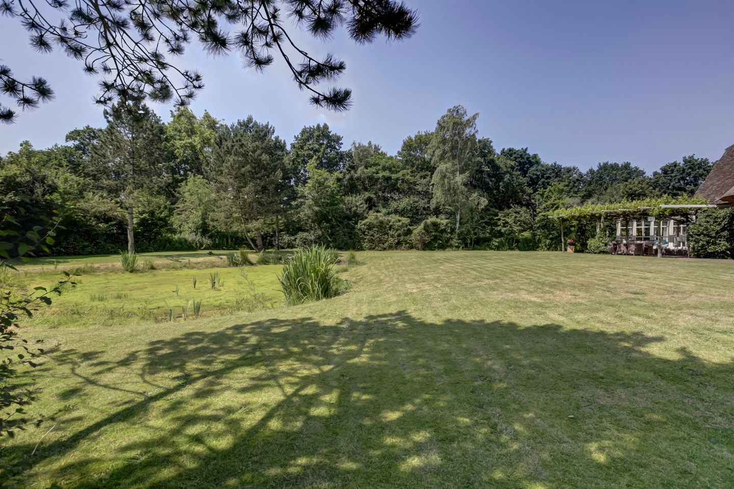 Foto 59 van Hogezoom 41