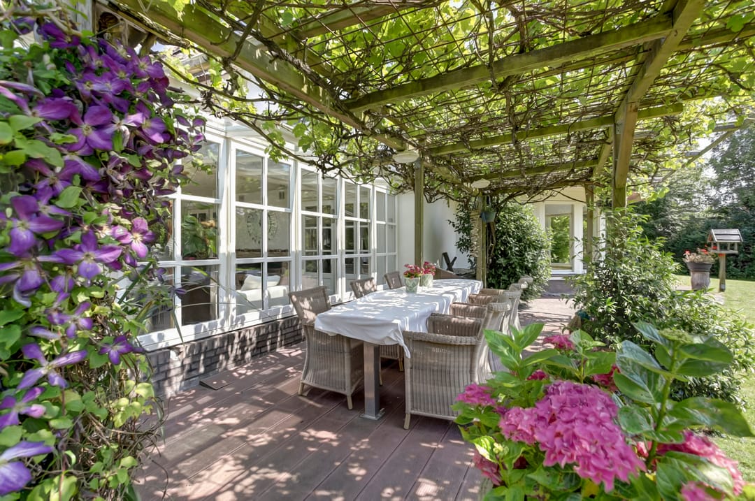 Foto 61 van Hogezoom 41