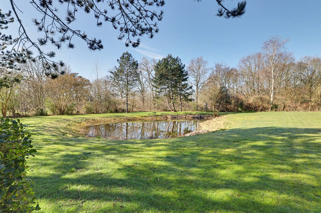 Foto 71 van Hogezoom 41