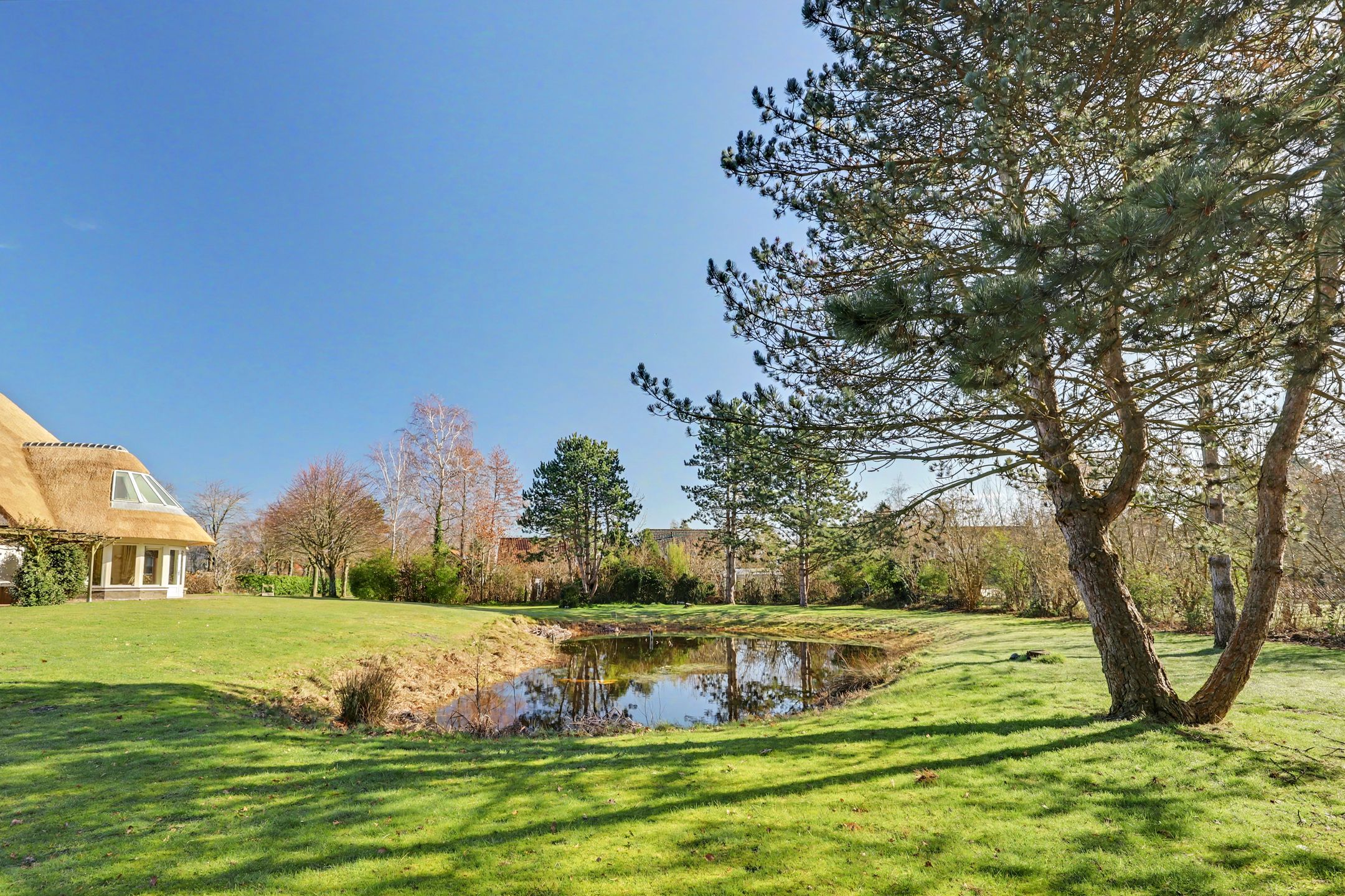 Foto 75 van Hogezoom 41