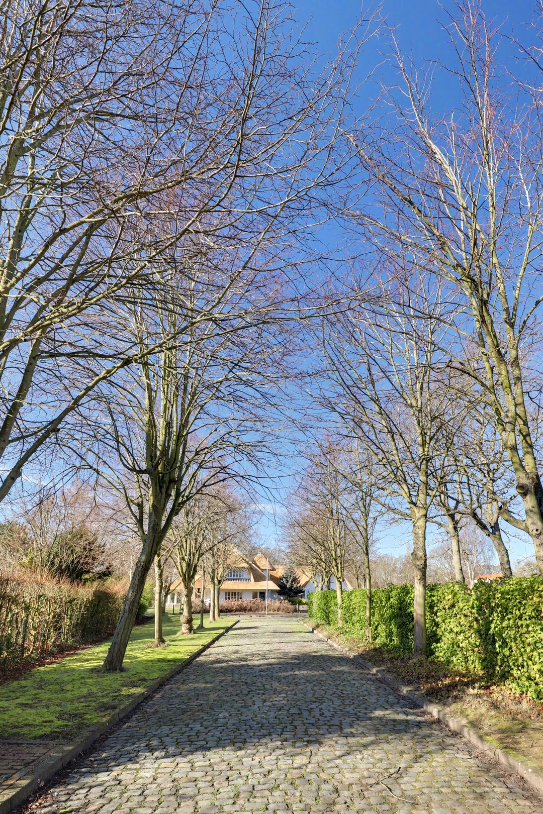 Foto 76 van Hogezoom 41