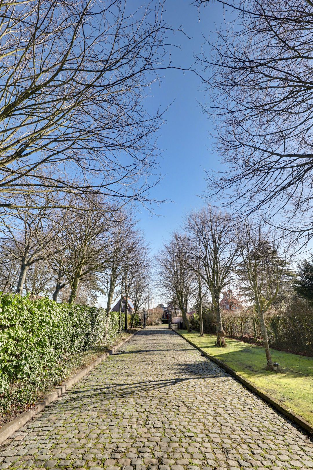 Foto 77 van Hogezoom 41