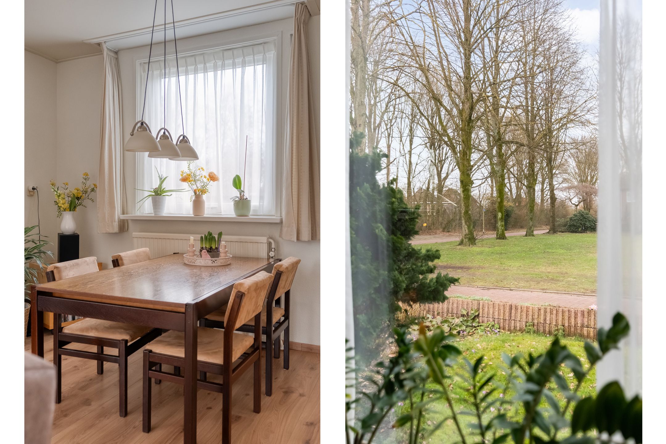 Photo 18 of Dokter Christiaansplein 14