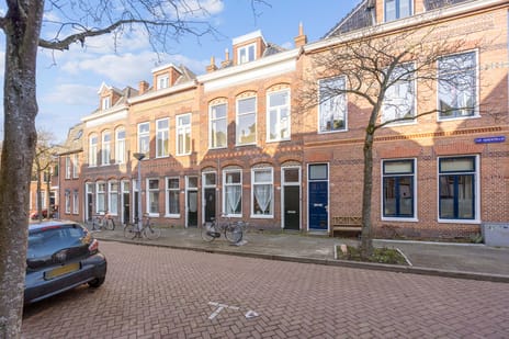 Van Sijsenstraat thumbnail