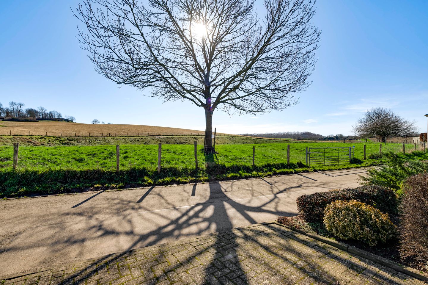 Foto 19 van Veulenerbank 76