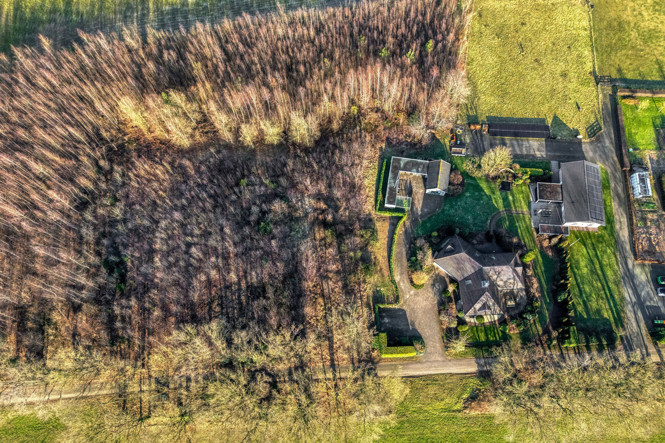 Exclusive living at the forest edge - space, freedom, and professional work-live comfort — 8