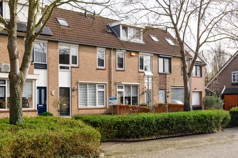 Ranonkelstraat thumbnail