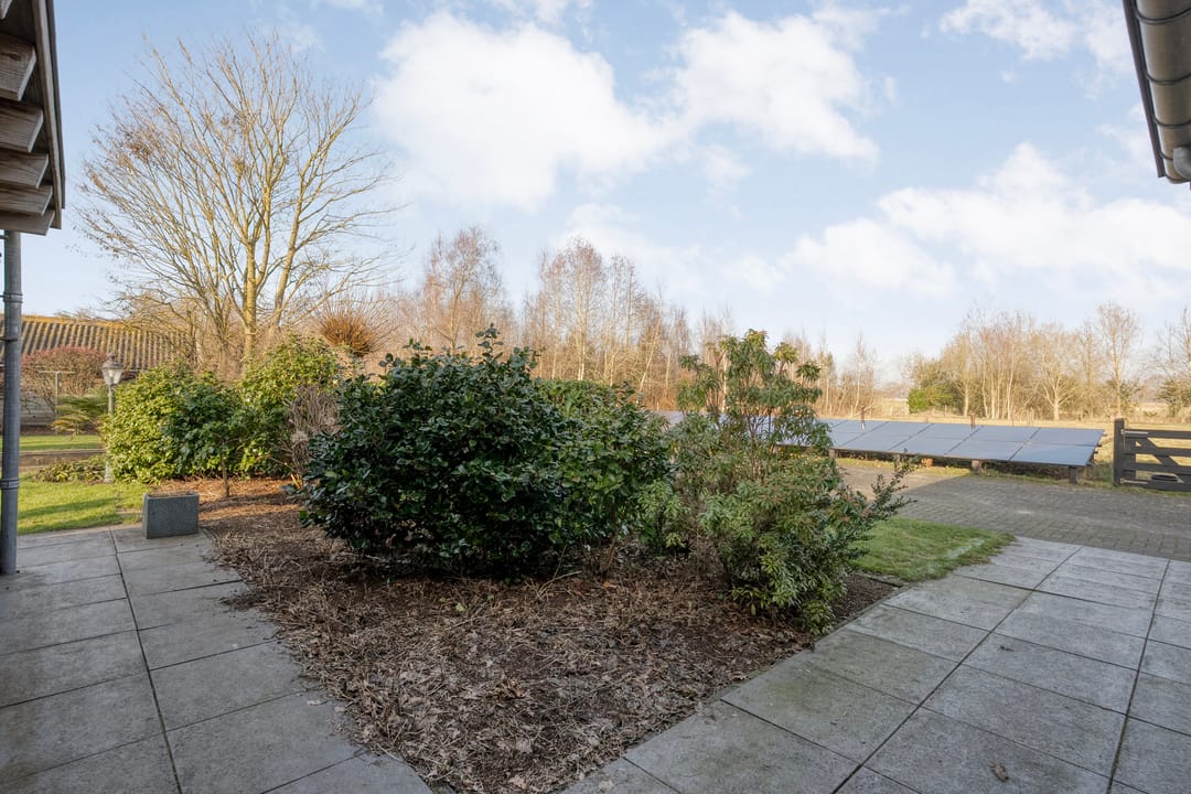 Exclusive living at the forest edge - space, freedom, and professional work-live comfort — 86