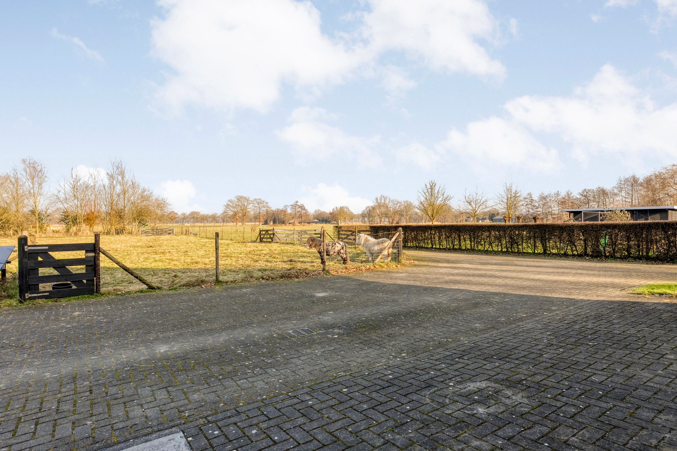 Exclusive living at the forest edge - space, freedom, and professional work-live comfort — 99
