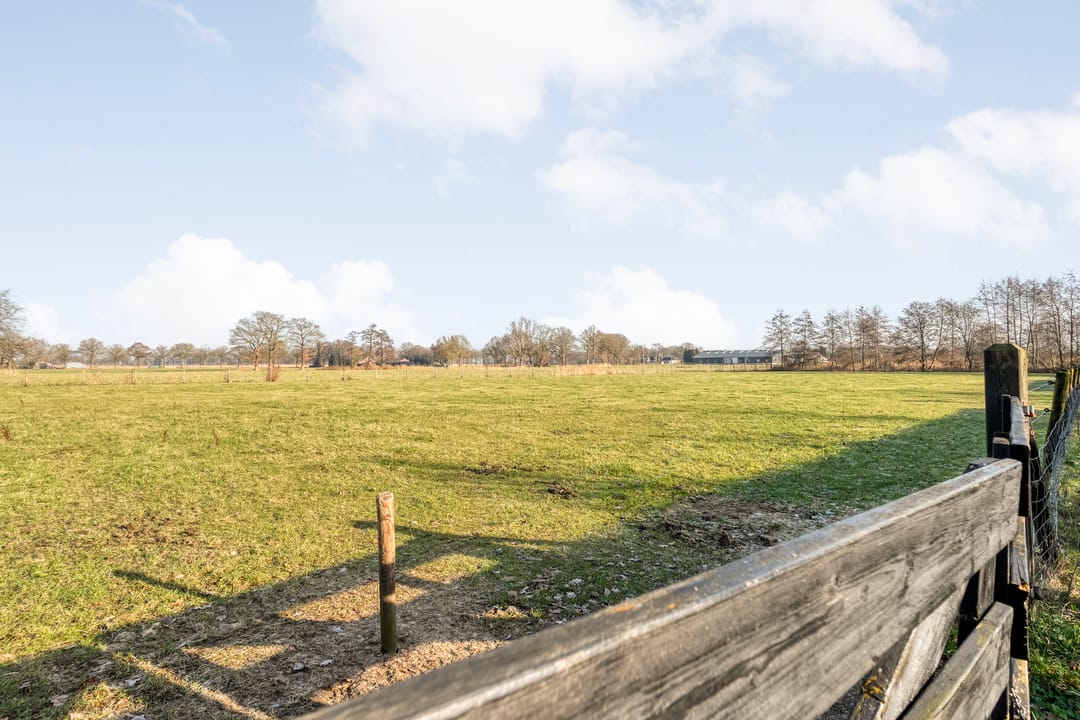 Exclusive living at the forest edge - space, freedom, and professional work-live comfort — 87